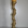 Bougeoire excentrique (faux accacias)